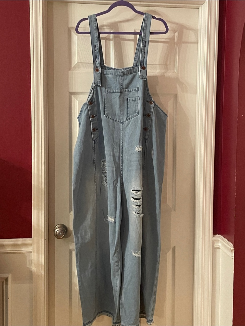 Light Wash Distressed Denim Overalls